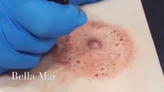 3D Areola Tattooing on Practise Skin [upl. by Yrrah]