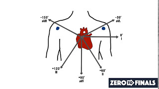 Understanding ECG Axis and Axis Deviation [upl. by Cissej255]