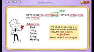 Adjectives Everything You Need To Know Grammar for Kids [upl. by Manara]