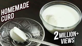 Homemade Curd Recipe  Tips amp Tricks To Make Curd At Home  Basic Cooking  Ruchi [upl. by Naniac]