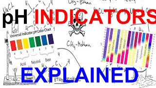 pH Indicators Explained [upl. by Irrej]