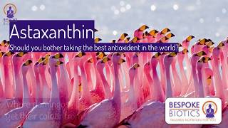 Astaxanthin 7 mins on why you should take the best antioxidant in the world [upl. by Nichols]