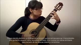 Guitarra mestiza [upl. by Aerdnwahs]