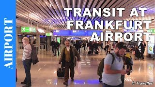 TRANSIT WALK AT FRANKFURT Airport FRA Terminal 1  Connection Flight Transfer Arriving amp Departing [upl. by Muller242]