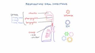 Respiratory Viruses  Clinical Presentations and Diagnosis [upl. by Nathan]