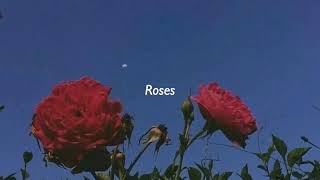 Roses  1 hour juice wrld [upl. by Anilatak]