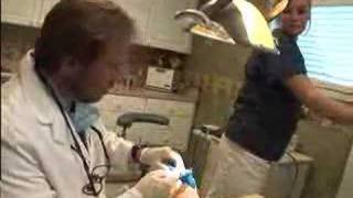 Root Canal Retreatment Demonstration [upl. by Giza]