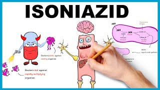 Isoniazid Mechanism of Action Uses Dose side effects [upl. by Strader]