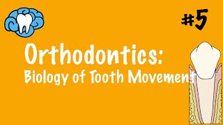 Orthodontics  Biology of Tooth Movement  INBDE ADAT [upl. by Lauber]