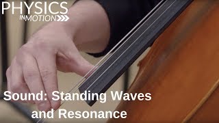 Sound Standing Waves and Resonance  Physics in Motion [upl. by Eittam]