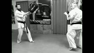 Tobi ushiro mawashi geri [upl. by Yanehs]