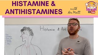 Histamine and Antihistamines Meds [upl. by Philine]