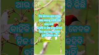 କଷ୍ଟ 🔥😢 odia Shayari [upl. by Everara]