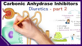 Pharmacology  Diuretics Part 2  Carbonic Anhydrase Inhibitors [upl. by Lledra885]