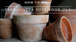 How to Make Terra Cotta Pots Look Old  Instantly Aged Terracotta Planter Pots using Paint [upl. by Geis]