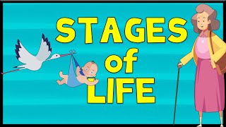 Stages of Life  Vocabulary  Minimal English [upl. by Stockwell225]