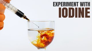 EXPERIMENT WITH IODINE  Iodine Chemical Reaction [upl. by Latia]