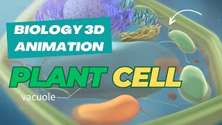 The Secret World Inside Plant Cells  3D Animation Reveals [upl. by Niac]