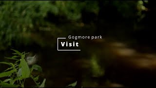 Visit Gogmore park  Chertsey [upl. by Spain]