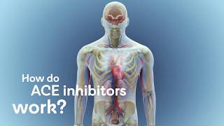 How do ACE inhibitors work [upl. by Itsa191]