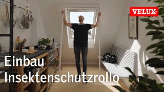 Einbau Insektenschutzrollo ZIL  VELUX [upl. by Kuhlman]