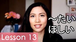 Learn Japanese  Minna No Nihongo Lesson 13 Grammar [upl. by Jessika]