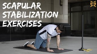 11 Scapular Stabilization Exercises [upl. by Naujyt]