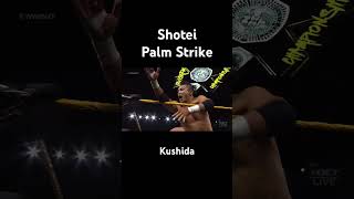 WWE Shotei [upl. by Angelo131]