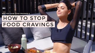 How To Stop Food Cravings  Dr Mona Vand [upl. by Olsson653]