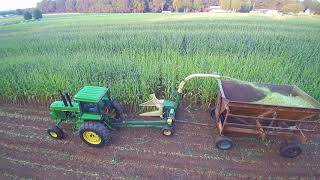 Chopping small grain and corn silage [upl. by Kcirdor52]