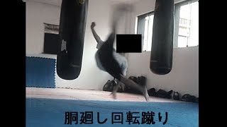 The Power of Do Mawashi Kaiten Geri Kyokushin Wheel Kick  胴廻し回転蹴り [upl. by Rowell122]