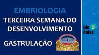 Gastrulação Ectoderma Mesoderma e Endoderma  Terceira Semana do Desenvolvimento Embriologia [upl. by Fidelis147]