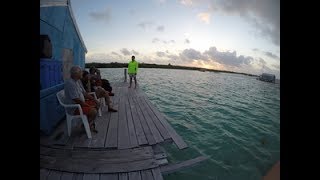 Buceo Banco Chinchorro Mahahual México Documental [upl. by Lepine457]