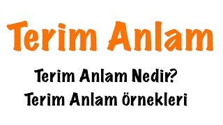 Terim Anlam Nedir Terim Anlam Konu Anlatımı [upl. by Ahsimac]