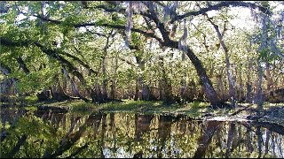 Delius By the River  The Florida Suite [upl. by Myrt]