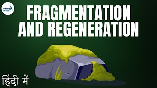 Reproduction  Lesson 12  Fragmentation and Regeneration  in Hindi हिंदी में   Dont Memorise [upl. by Airotal306]