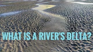 What is a rivers delta [upl. by Tartaglia]