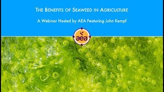 The Benefits of Seaweed in Agriculture [upl. by Mascia]