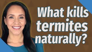 What kills termites naturally [upl. by East]