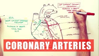 Coronary Arteries  Anatomy Tutorial [upl. by Larok]