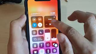 iPhone 11 Pro How to Enable  Disable Magnifier in Accessibility Shortcuts [upl. by Adlare]