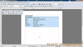 Lebenslauf in Open Office [upl. by Ailana261]