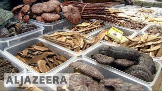 🇨🇳 Chinese traditional medicine gains popularity at home and abroad [upl. by Atronna]