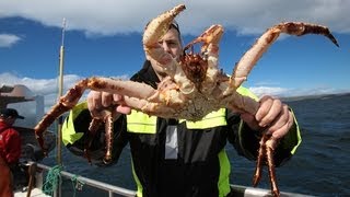 King crabbing in Northern Norway  Königskrabbenfang im Norden Norwegens [upl. by Nylanna]