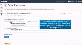 cPanel How to Set a Return to Sender Failure Message for Unrouted Emails [upl. by Velasco836]