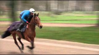 Présentation de lhippodrome et du Centre d’Entraînement de MaisonsLaffitte [upl. by Suzetta]