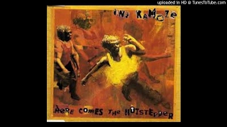 Ini Kamoze  Here Comes The Hotstepper Heartical Mix [upl. by Anegal]