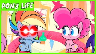 Pony Life  NEW  Rainbow Dash Loyalty Moment  Kindness Day  MLP Pony Life [upl. by Mungo]