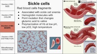 Red Blood Cell Morphological Abnormalities [upl. by Anatak]