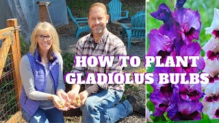 How to Plant Gladiolus Bulbs 🌿💚 [upl. by Eentirb]